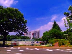 画像の説明