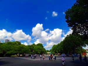 画像の説明