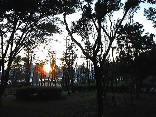 画像の説明 画像の説明