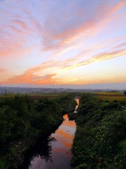 画像の説明 画像の説明