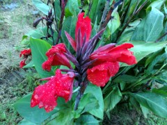 画像の説明 画像の説明