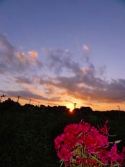 画像の説明 画像の説明