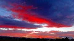 画像の説明 画像の説明