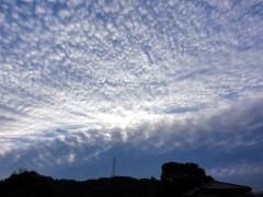 画像の説明 画像の説明