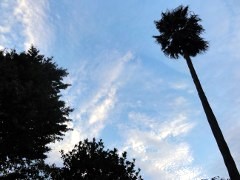 画像の説明 画像の説明