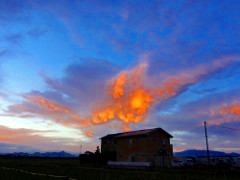 画像の説明 画像の説明