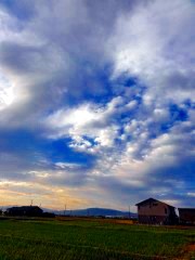 画像の説明 画像の説明