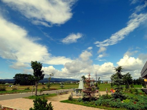 画像の説明 画像の説明