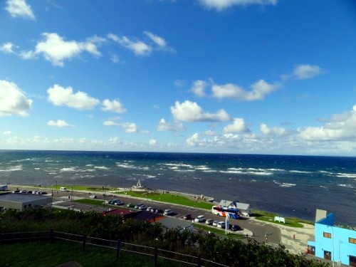 画像の説明 画像の説明