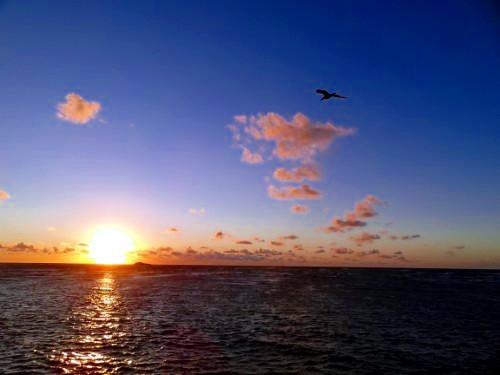 画像の説明 画像の説明